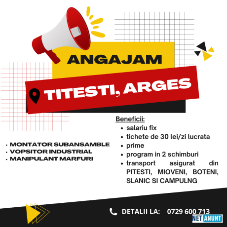 angajam-montator-subansamble-titesti-arges-big-0