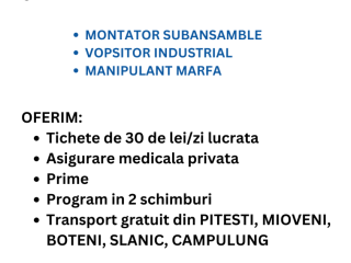 montator-subansamble-titesti-arges