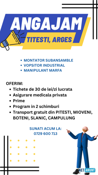 montator-subansamble-titesti-arges-big-0