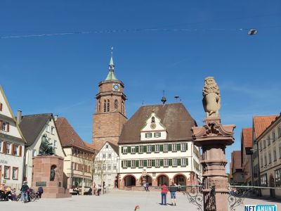 ingrijire-batrani-germania