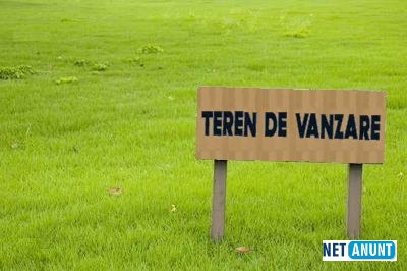 loturi-de-vanzare-in-comuna-dascalu-ilfov-big-0