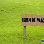 loturi-de-vanzare-in-comuna-dascalu-ilfov-small-0