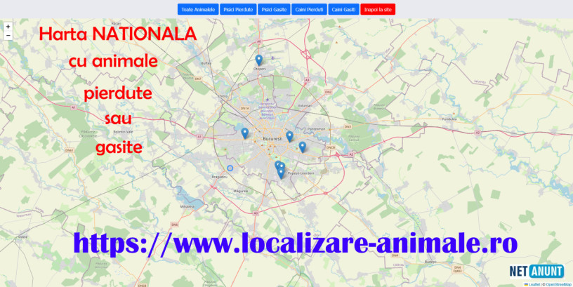 localizeaza-pisica-pierduta-sau-un-caine-gasit-pe-harta-nationala-cu-animale-big-2