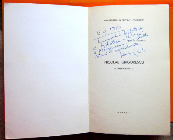 nicolae-grigorescu-paul-d-popescu-big-1