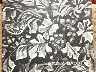 catalog-ileana-balota