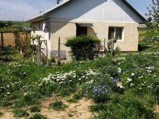 casa