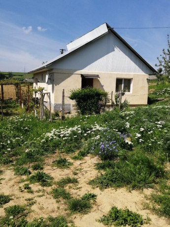 casa-big-0