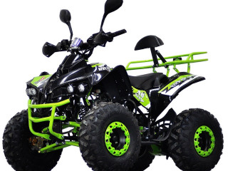atv-warrior-3g8-pro-lemon-deluxe-125cmc