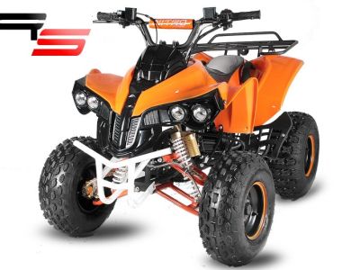 atv-warrior-3g8-rs-deluxe-125cmc