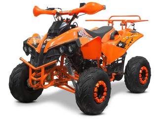 atv-renegade-sport-edition-rg7-deluxe-125cmc