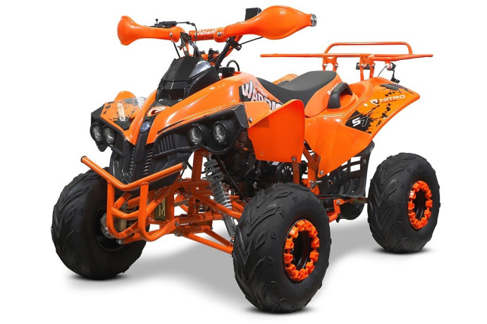 atv-renegade-sport-edition-rg7-deluxe-125cmc-big-0