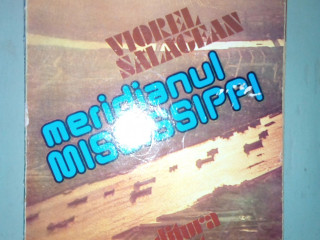 constanta-0785-063-569-vand-cartea-viorel-salagean-meridianul-mississippi
