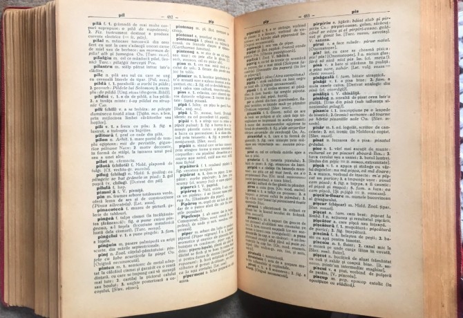 dictionar-universal-al-limbii-romane-saineanu-big-4