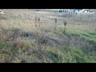teren-de-vanzare-375mp-intravilan-zona-bucium-rezidential
