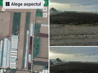 teren-de-vanzare-in-matca