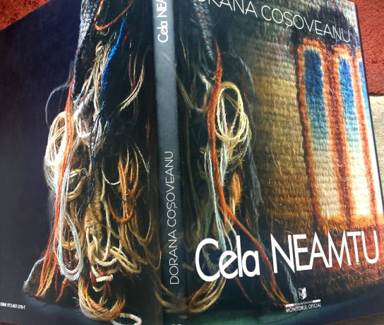 cela-neamtu-dorana-cosoveanu-2009-big-1