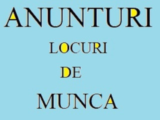 loc-de-munca-la-fabrica-conserve-din-olanda