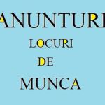 pentru-olanda-recrutam-zugrav-small-0