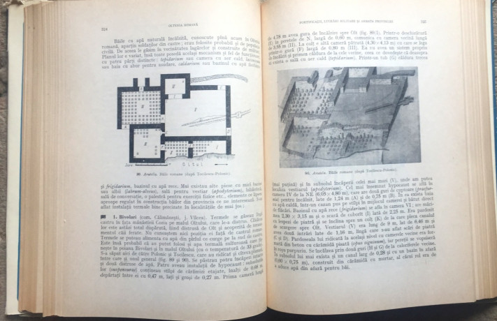 oltenia-romana-d-tudor-big-2