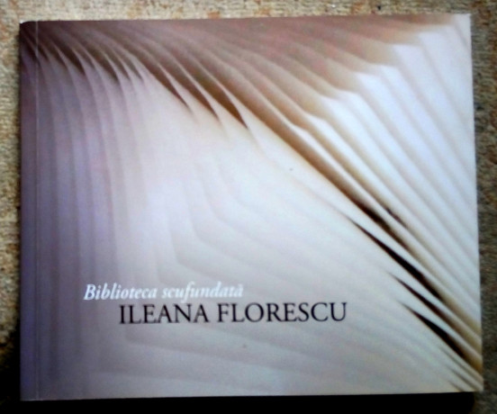 biblioteca-scufundata-ileana-florescu-big-0